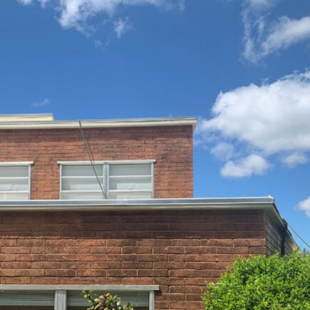 warm and cool colors