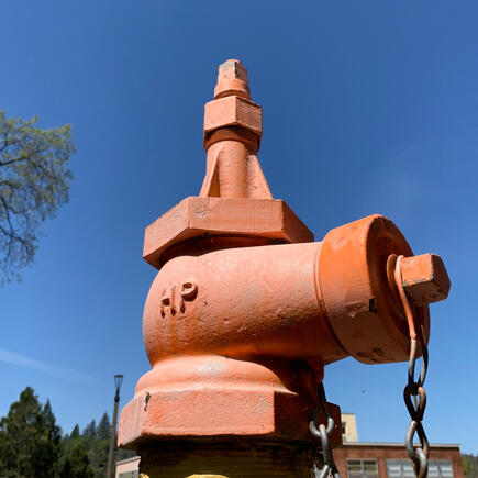 complementary colors